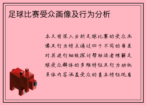 足球比赛受众画像及行为分析