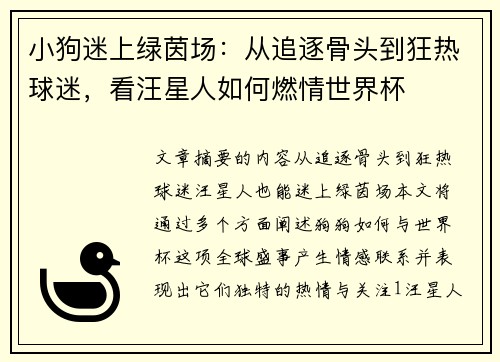 小狗迷上绿茵场：从追逐骨头到狂热球迷，看汪星人如何燃情世界杯