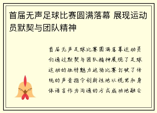 首届无声足球比赛圆满落幕 展现运动员默契与团队精神