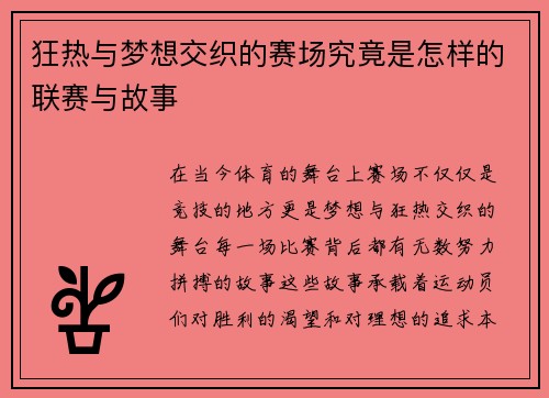 狂热与梦想交织的赛场究竟是怎样的联赛与故事