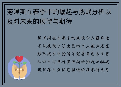 努涅斯在赛季中的崛起与挑战分析以及对未来的展望与期待