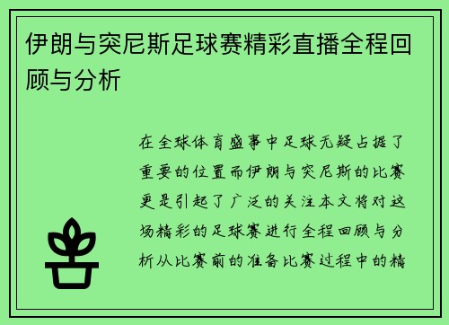 伊朗与突尼斯足球赛精彩直播全程回顾与分析