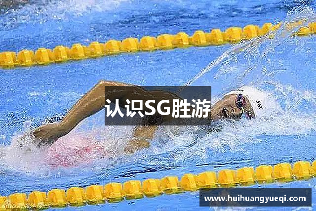 认识SG胜游